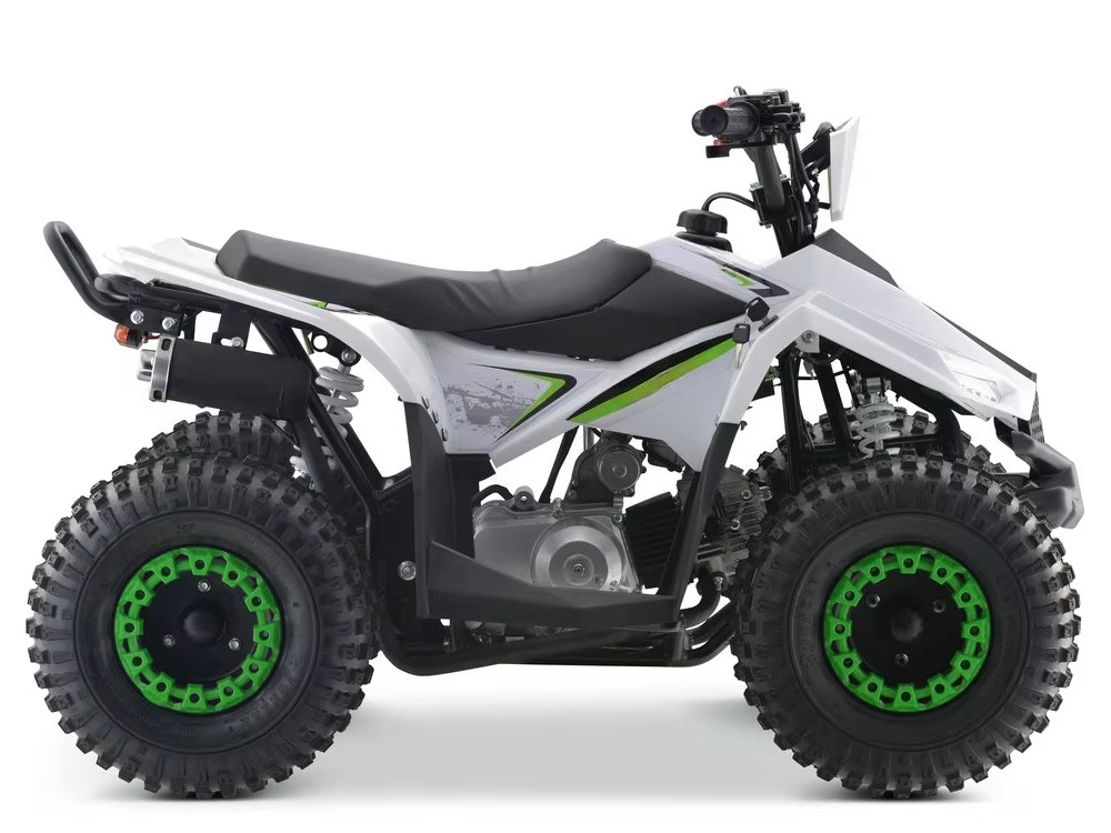 110cc 가솔린 엔진 어린이용 ATV 4륜 쿼드 바이 - Kids Toys Quad 리뷰 및 가격