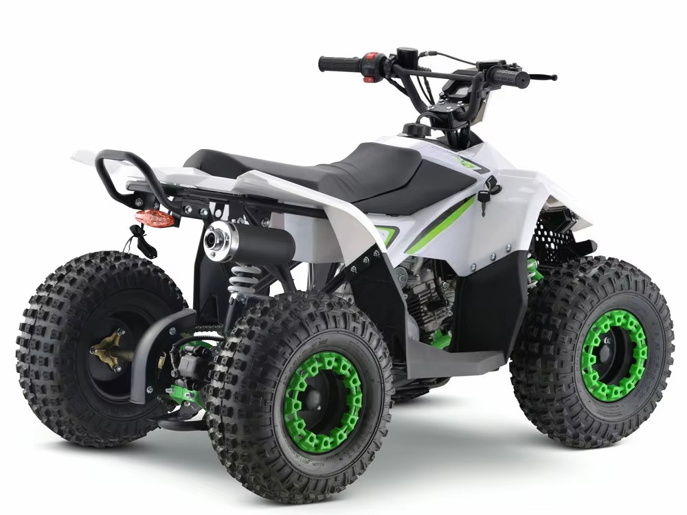 110cc 가솔린 엔진 어린이용 ATV 4륜 쿼드 바이 - Kids Toys Quad 리뷰 및 가격