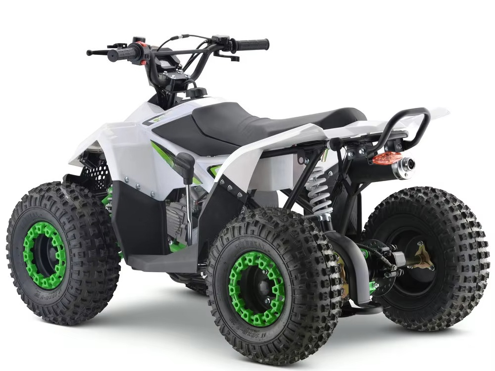 110cc 가솔린 엔진 어린이용 ATV 4륜 쿼드 바이 - Kids Toys Quad 리뷰 및 가격