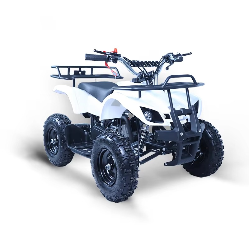 49cc 미니 ATV 어린이용 쿼드 바이크 2행정 가솔 - Kids Toys Quad 리뷰 및 가격