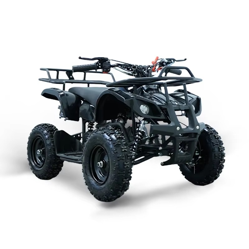49cc 미니 ATV 어린이용 쿼드 바이크 2행정 가솔 - Kids Toys Quad 리뷰 및 가격